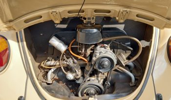 Vw Fusca 1300 L 1981 completo